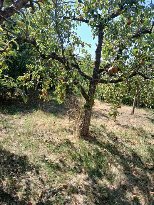 Продава се Къща в с. Мали Върбовник, Област Кюстендил - 104 кв.м за 294 €/кв.м - Снимка #10