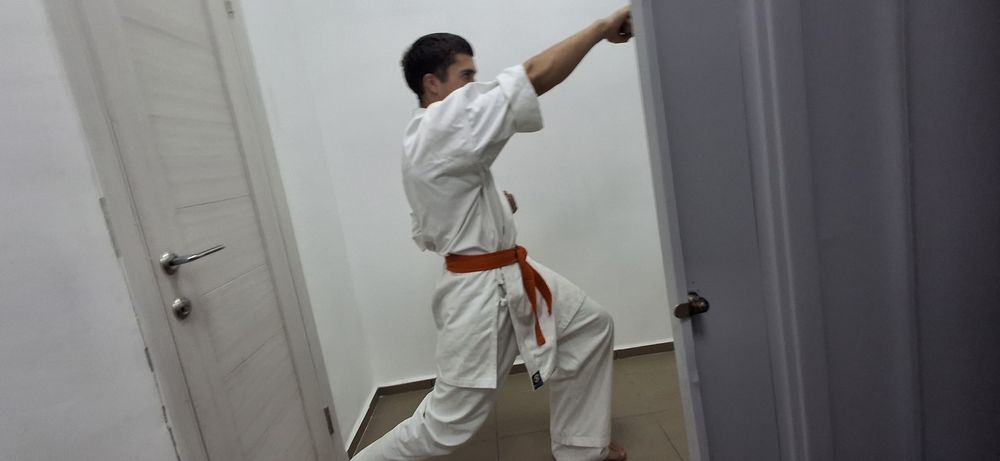 Школа смешных восточных боевых искусств