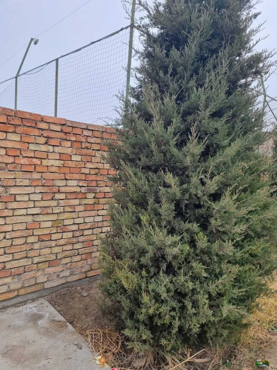 Ozbekiston tumanida Sun`iy qoplamali sport maydoni bino va inshootlari