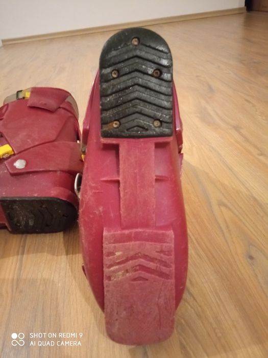 Clapari salomon evolution