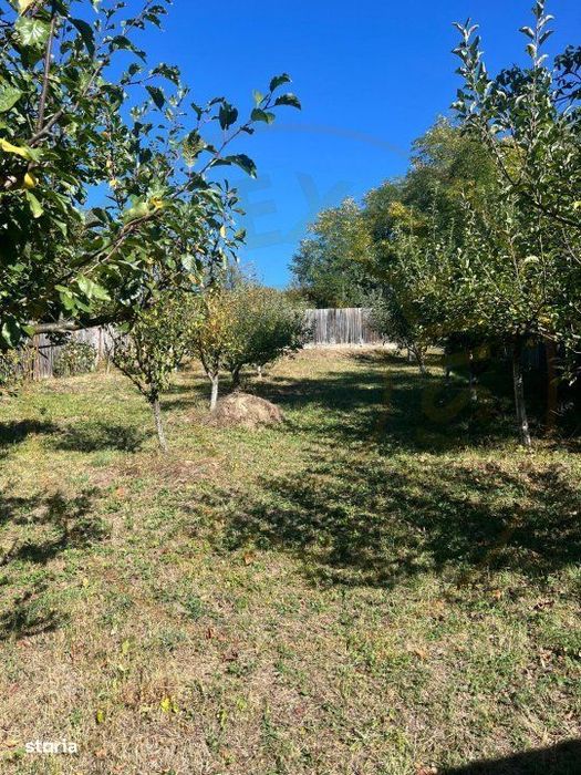 Teren 1128 intravilan constructii Darmanesti Arges