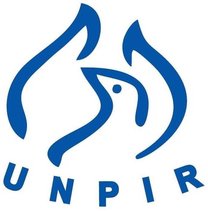 Contabilitate Audit Insolventa