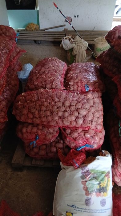 Cartofi animale 074[060]45[98)