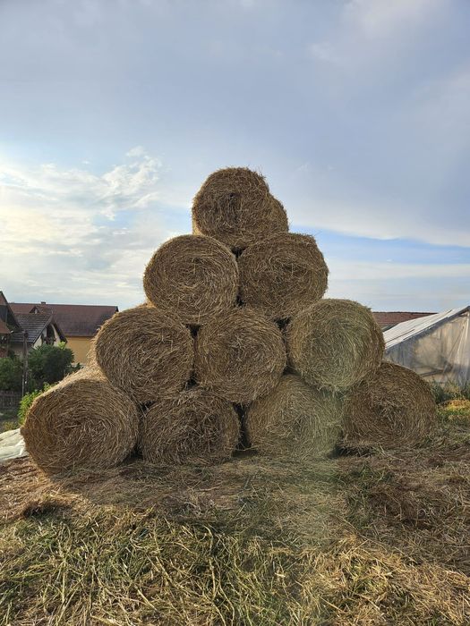 Baloti paie de grau