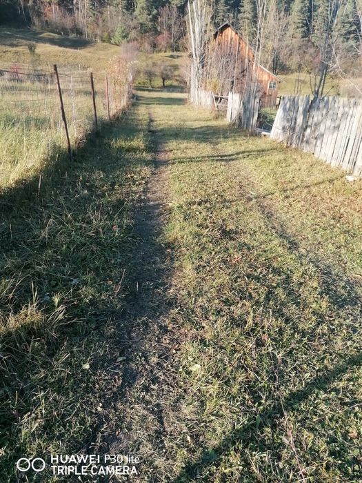 Teren de Vânzare in Sadova