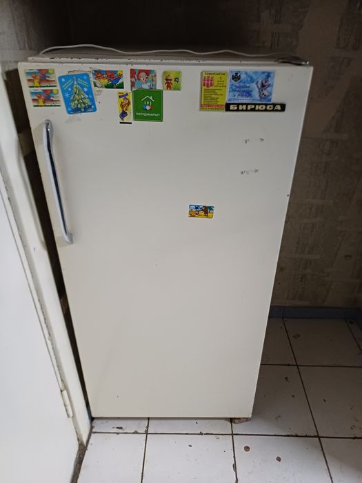 Холодильник бирюса