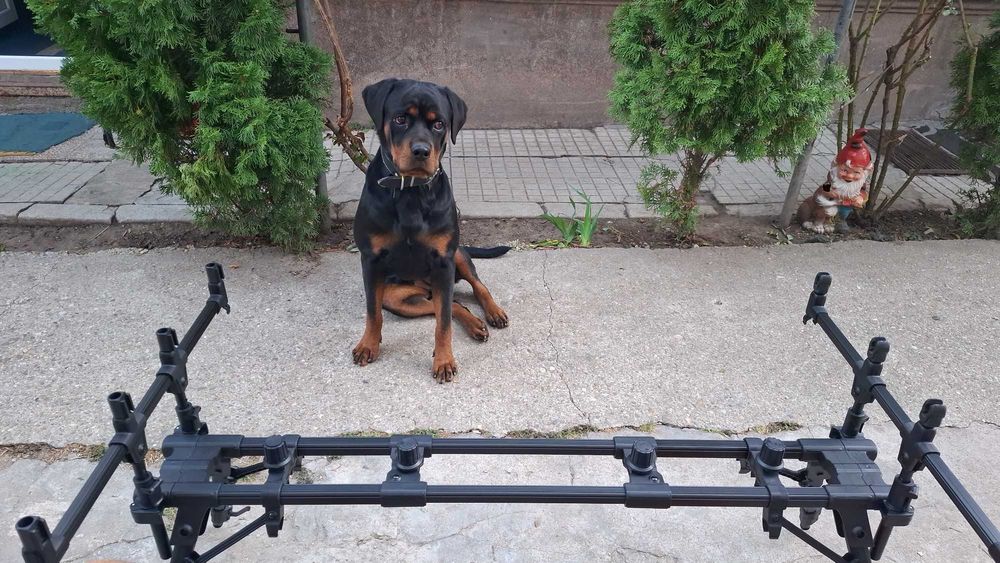 Rod Pod Carp Expert Neo Giant! NOU