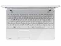 Toshiba Satellite C855D- 10G