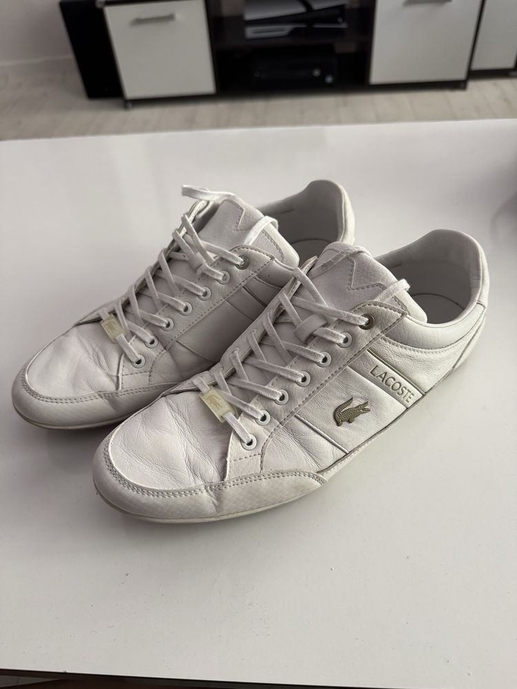 Lacoste Chymon 42