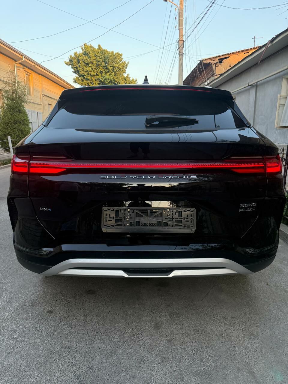 Byd champion Gibrit