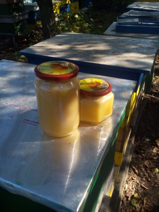 Качествени пчелни продукти-мед,прополис,восък