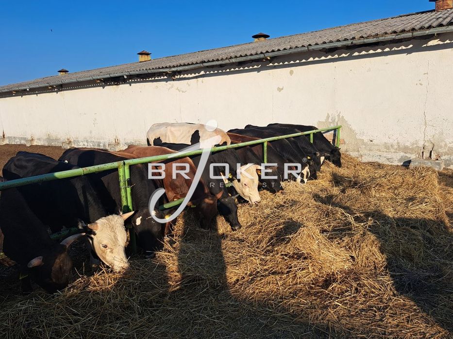 Пром. помещение в Добрич, област-с.Честименско