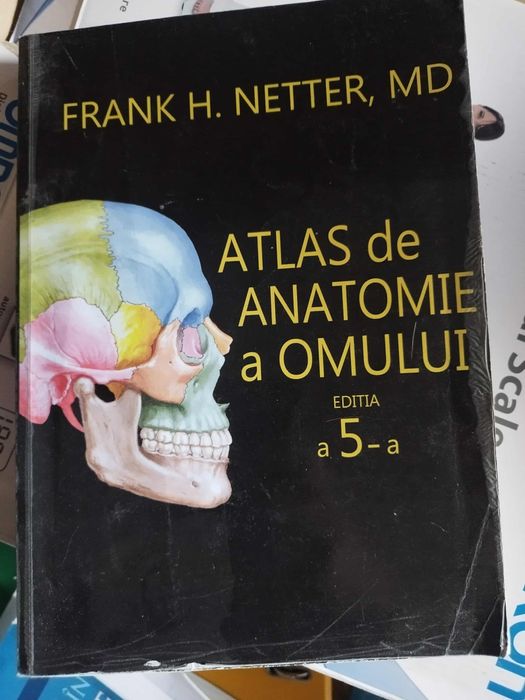 Atlas Netter medicina