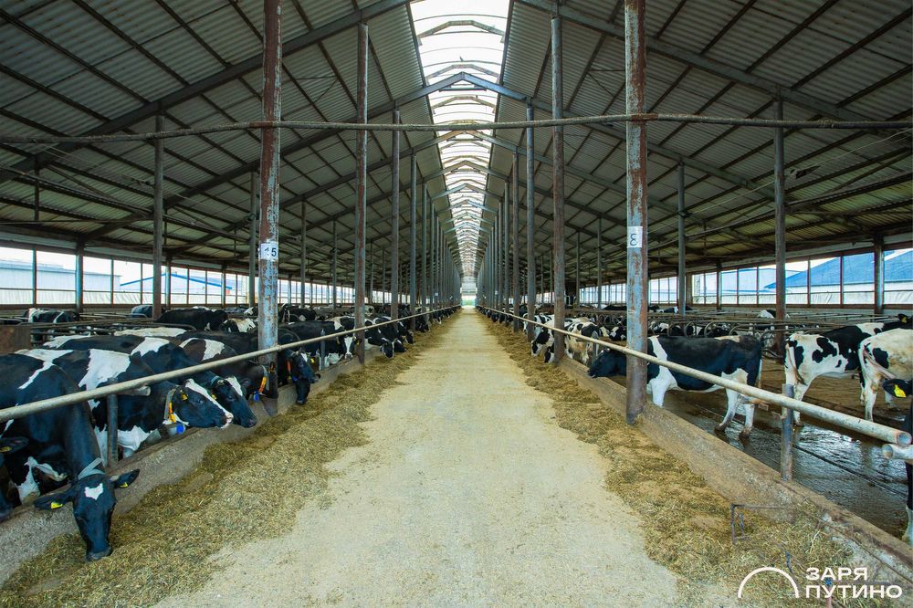 Продаю шикарную ферму
Которому нет аналогов в Узбекистане
Туйтепа