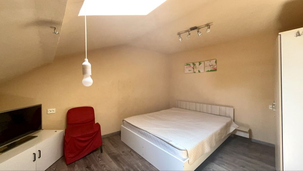 Pet Friendly Elisabetin Balcescu Maria Sinaia Medicina Politehnica UVT