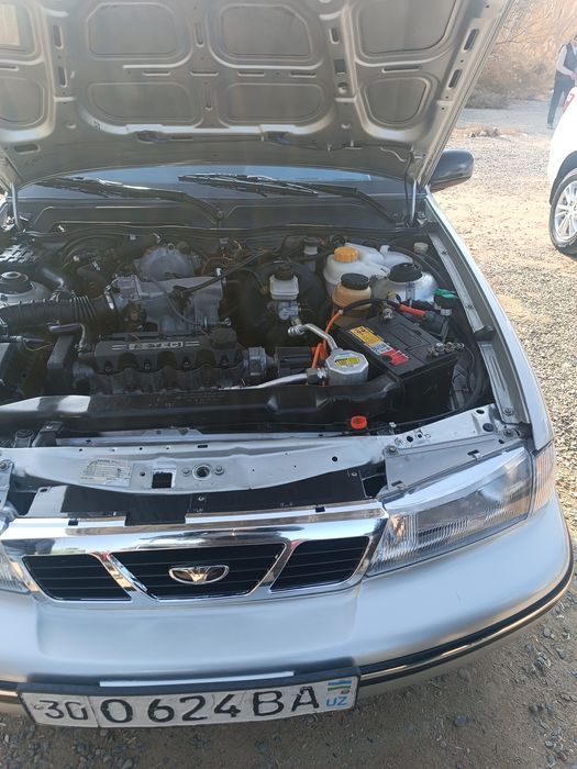 Nexia sotiladi lukus kanisaner