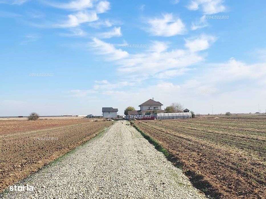 Lot 482 mp Berceni, Ilfov – teren intravilan de vânzare, utilități