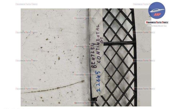 Grila inferioara originala Bentley Continental GT 1 [2003 - 2012] Bent