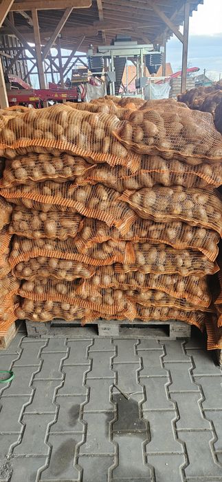 Cartofi de consum albi si roși