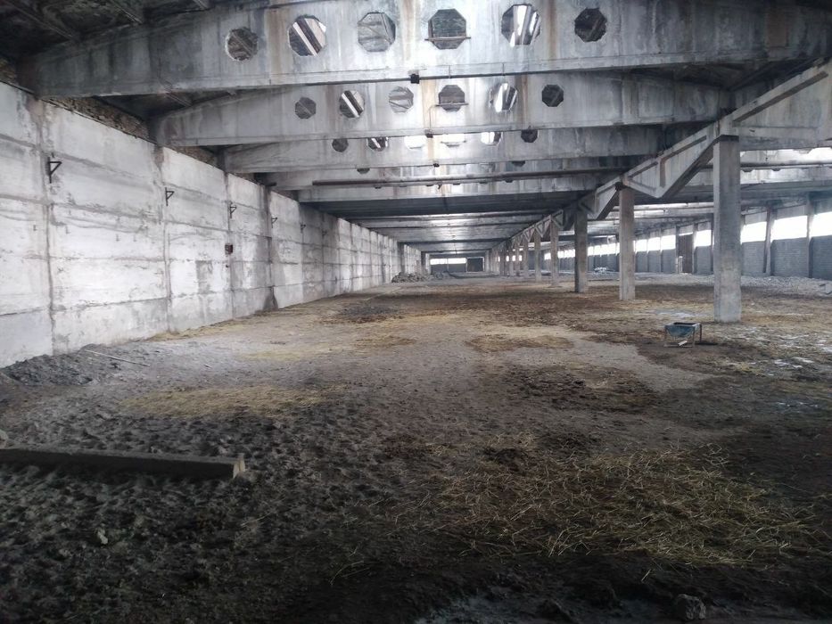 Ангрен экономическая промзона 16га тер. 42000кв.м. общ.плошад.