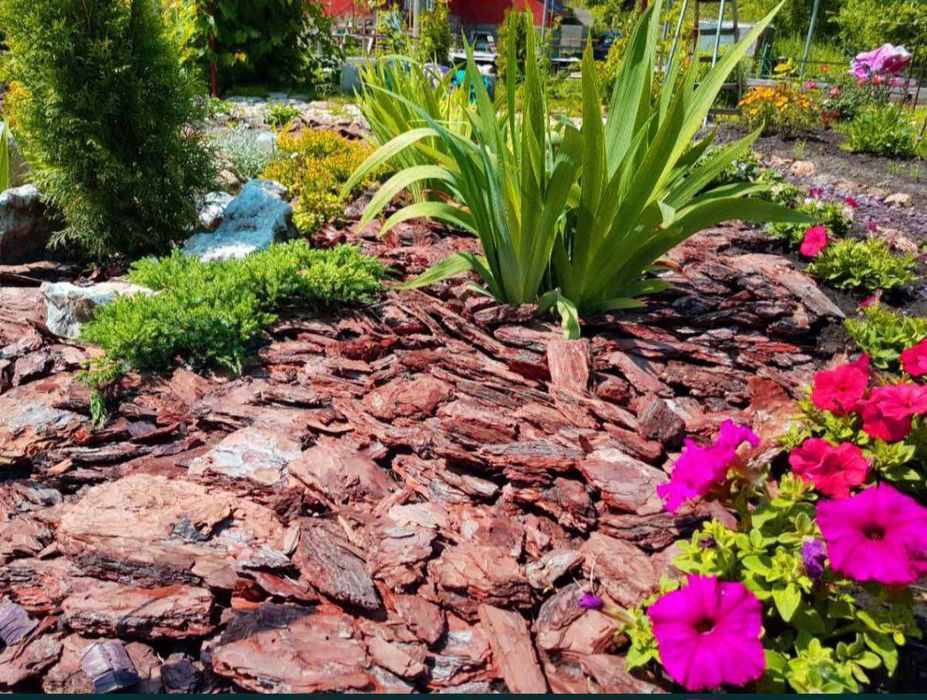 Сосновая Кора для Декора и Ландшафта  Акция цена