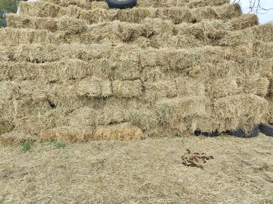 Vand baloți fân ,