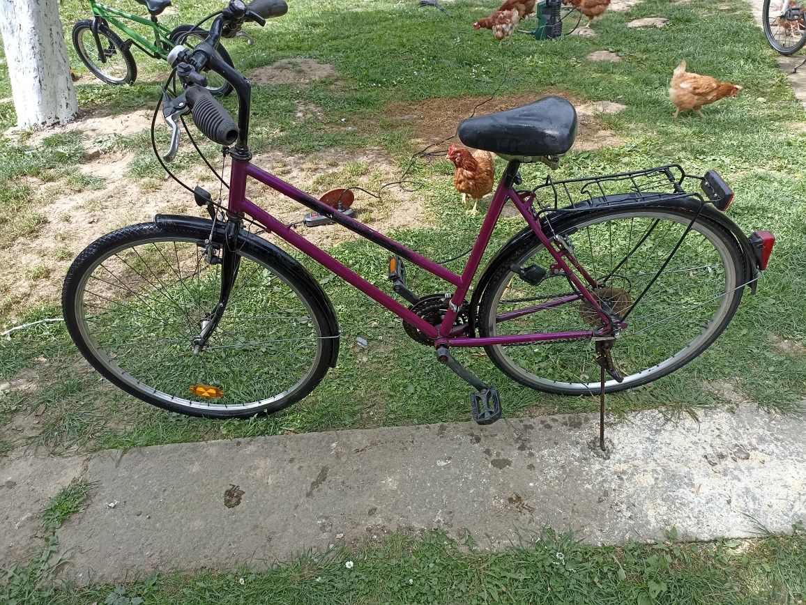 Bicicleta adulti