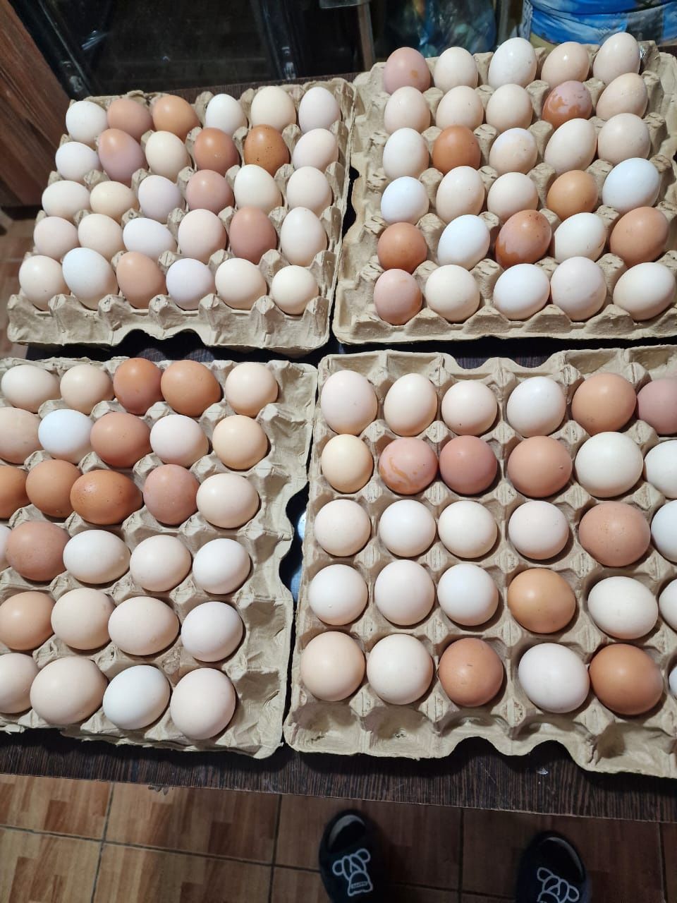 Домашние куриные яйца