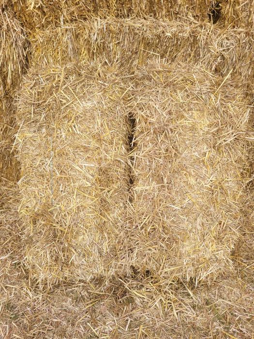 vand balot de lucerna, paie de orz si paie de  triticale