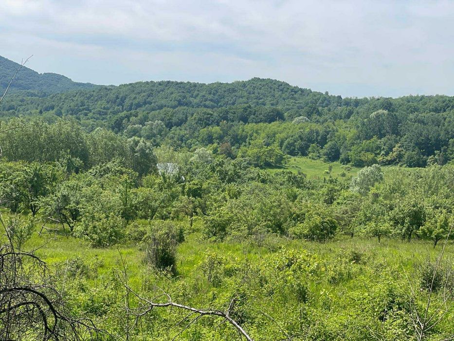 Teren de vanzare, peisaj superb, aproape de autostrada Pitesti-Sibiu