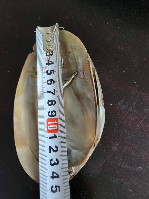 Винтидж разпятие в мида