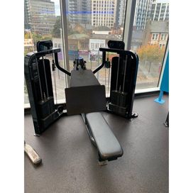 Долен скрипец Precor icarian black