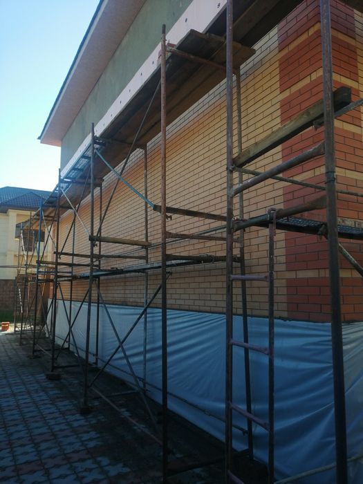 Аренда леса в районе поселка Туздыбастау