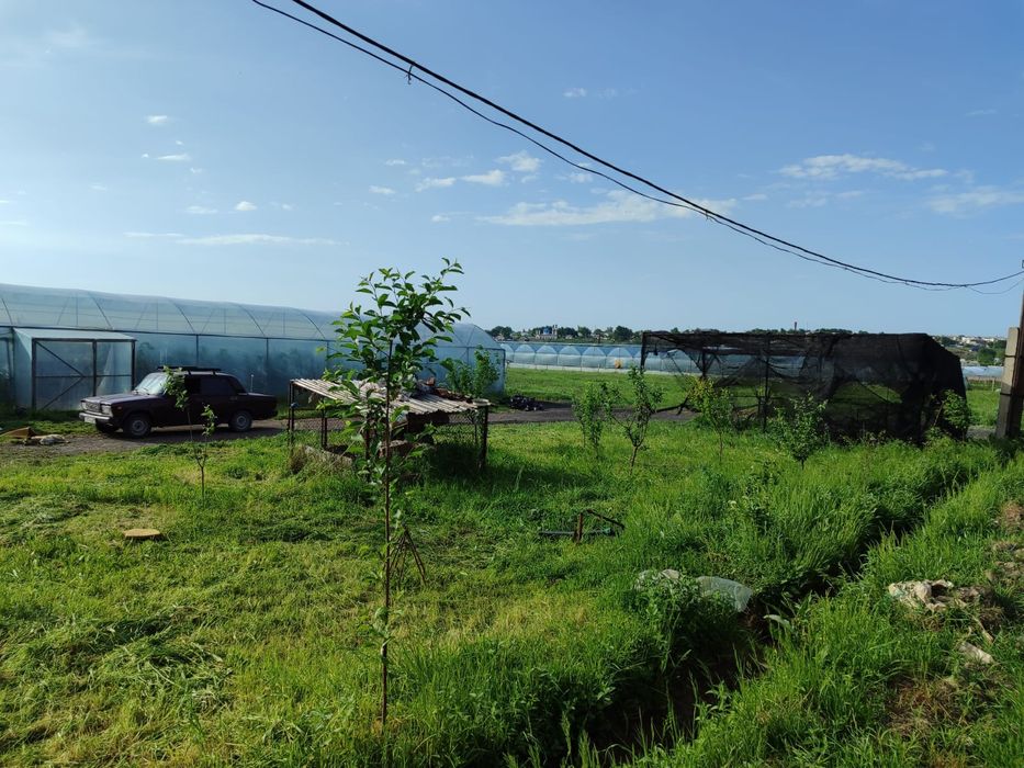 Участок теплица готовая