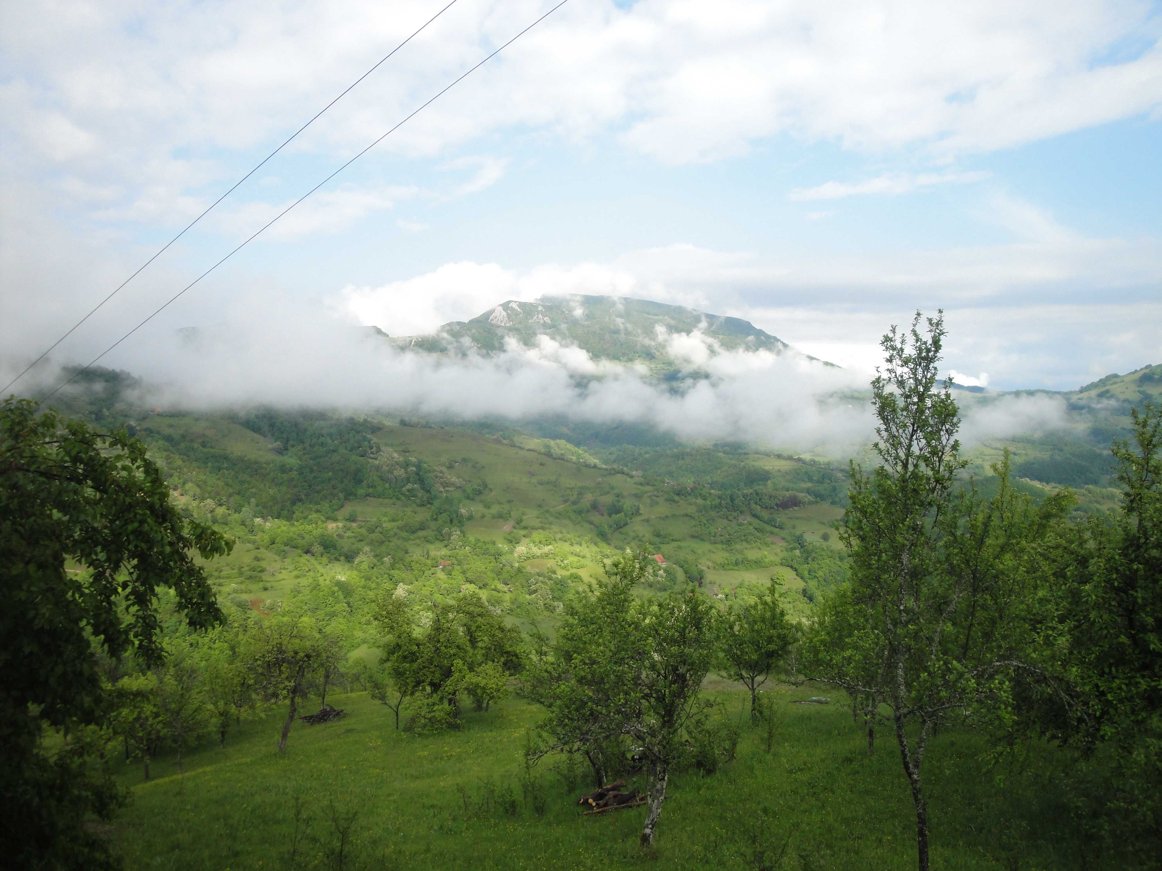 Un colț de natură – Proprietate de vânzare la munte