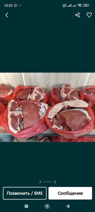 Свежий мясо конина. Жас Жыкы ет