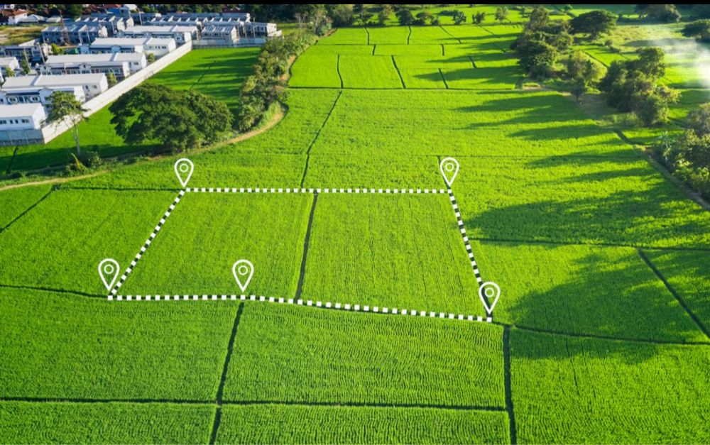 Очен Срочно!Ер сотилади Тузелда 3,31соток и 2,31