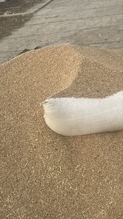 Зерно чистое по мешкам