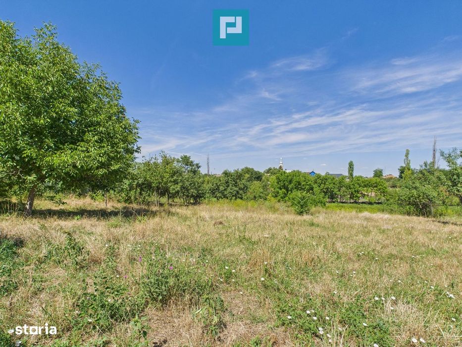 Teren 4919 mp– Comuna Călacea