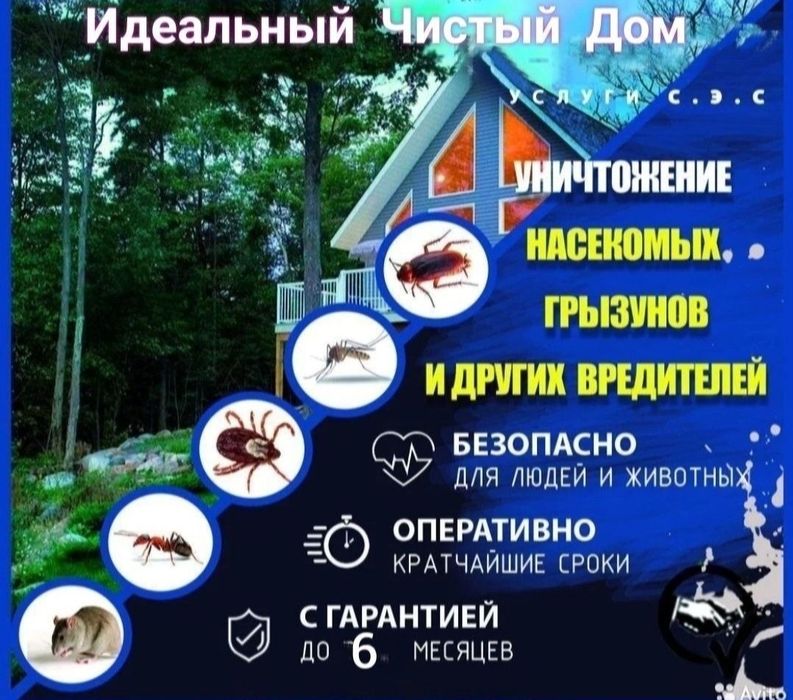 Дезинфекция тараканов и клапов и блох