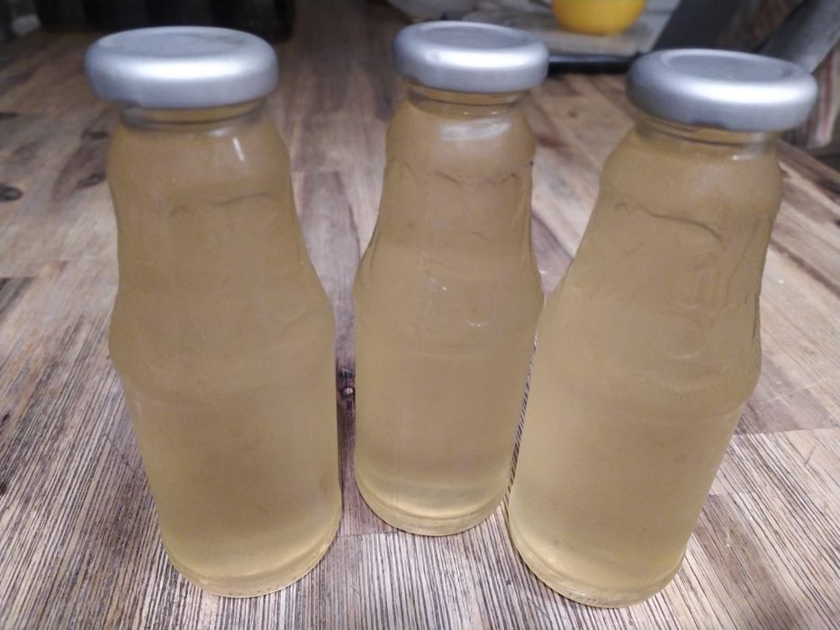 Sirop muguri de brad, cătină, propolis, etc