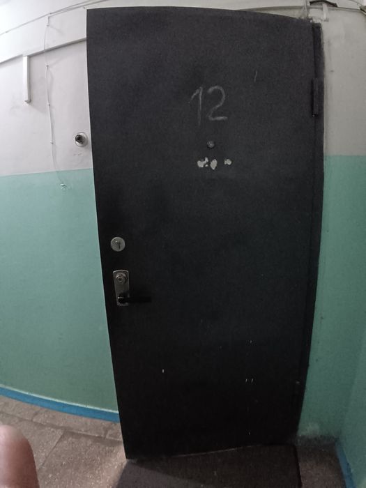 Дверь металлическая