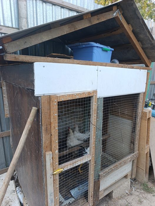 Tovuq katak sotiladi baquvat yasalgan 1.20 X 140 5 6 tovuqlar sig'adi