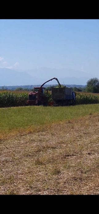 Case CHX 420 & CHX 520 3 combine de siloz, 2004, cap de iarba optional