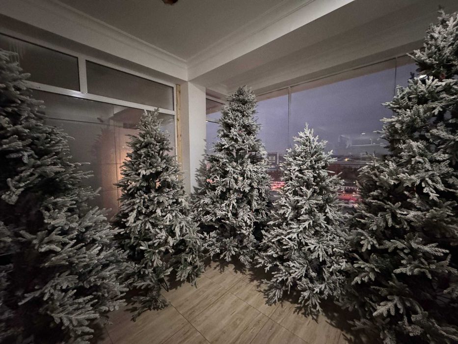 Qorli archa. Снежная ёлка. Заснеженная ёлка. Бесплатная доставка