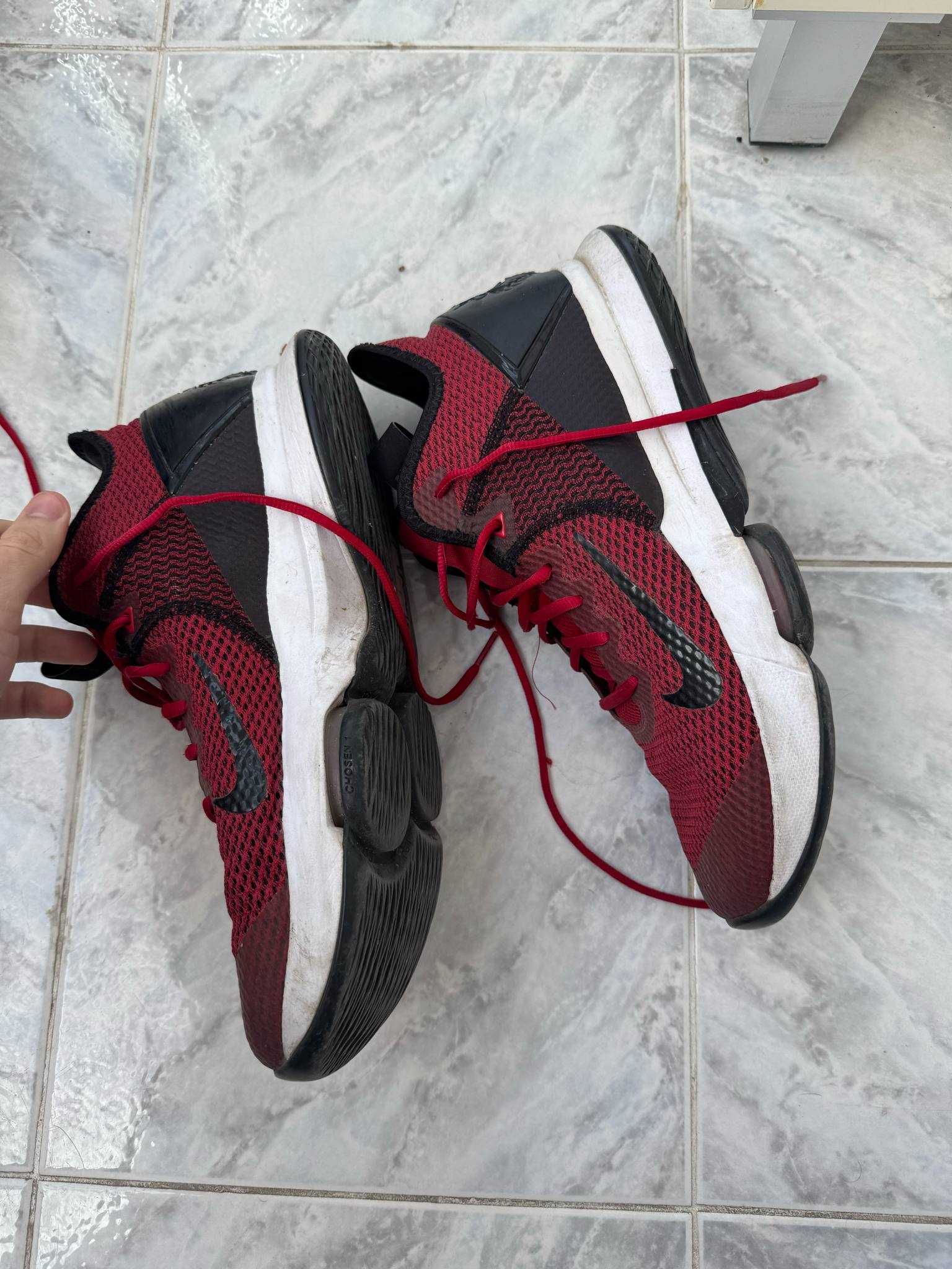 Lebron Witness 4