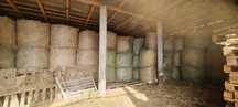 Baloti lucerna 140x120