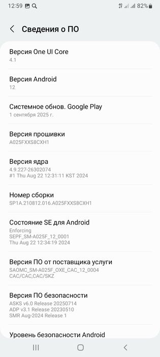 Samsung Galaxy а 02 с