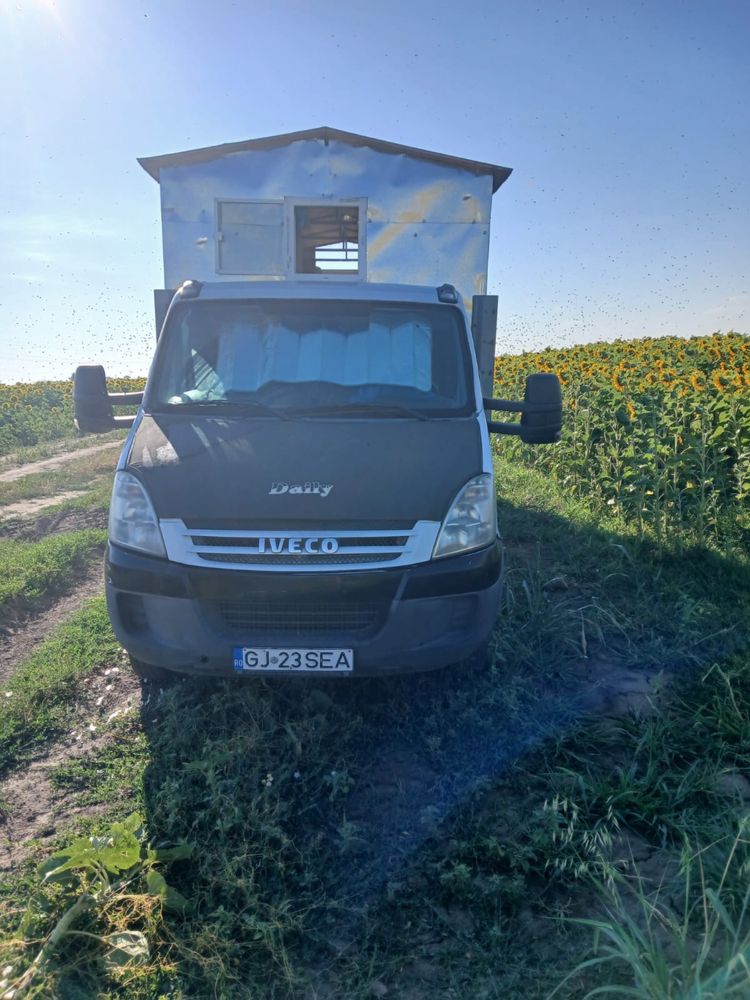 Iveco apicol omologat facut de la 0