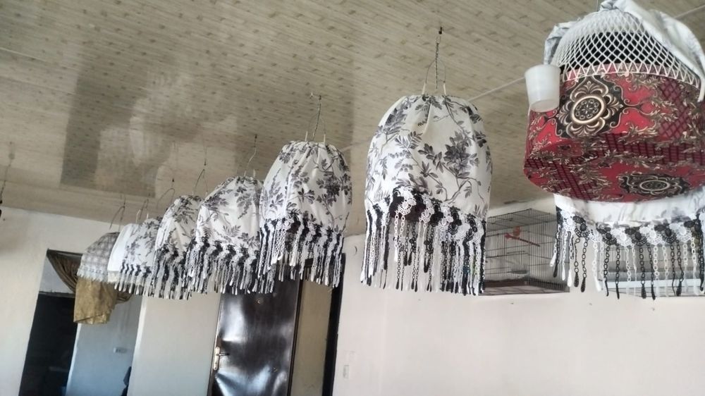 Канарейки перепелки шеглы соловьи